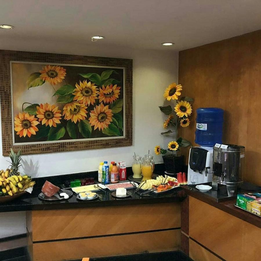 Horto Executivo Hotel Ipatinga Extérieur photo